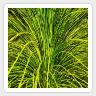 Stocksom Grass Tree Tranquility Sticker